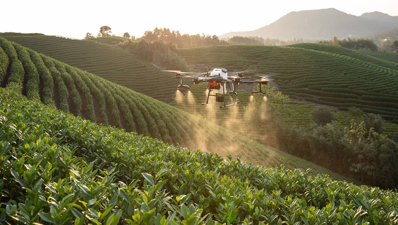 ITU & FAO Workshop Explores IoT and AI's Role in Advancing Smart Agriculture (Photo Source: Pixabay)