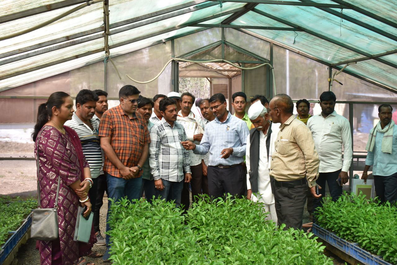 Visit of farmers to ICAR-CCRI nursery