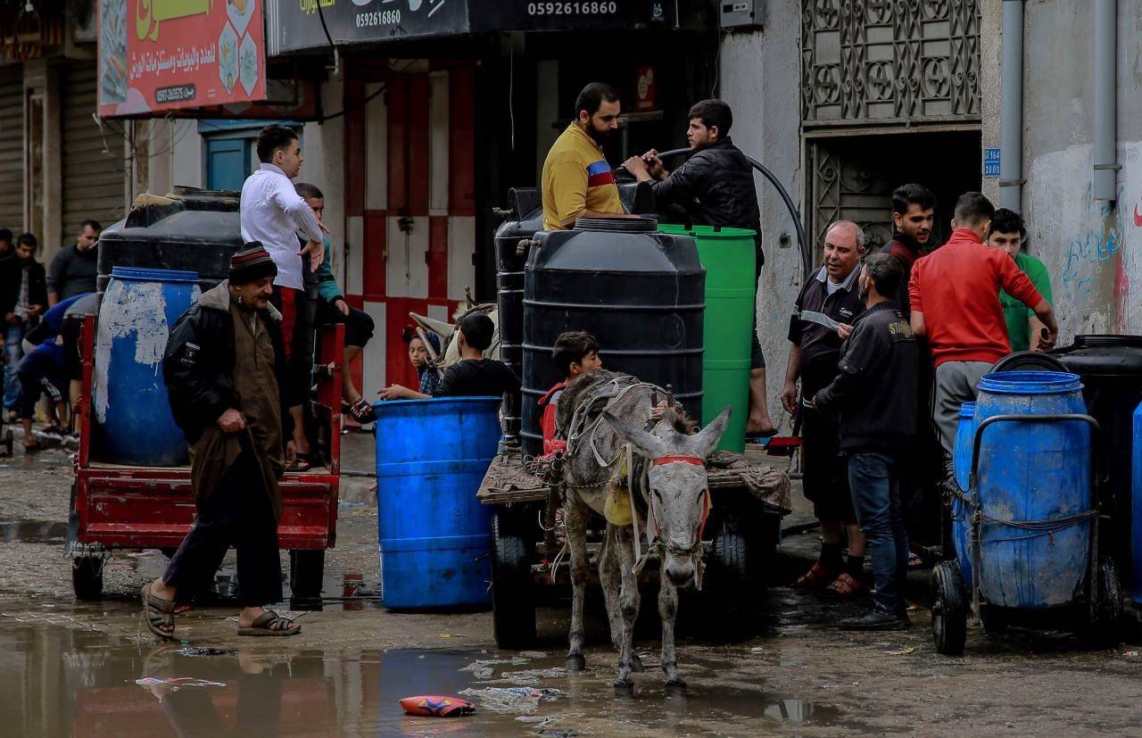 Gaza's Grim Reality: FAO Sounds Alarm on Imminent Famine Crisis (Photo Source: FAO)