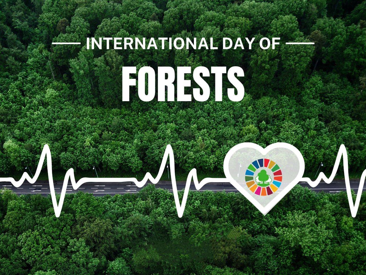 International Day of Forests: Celebrating the Silent Guardians of Our Planet (Photo Source: UN)