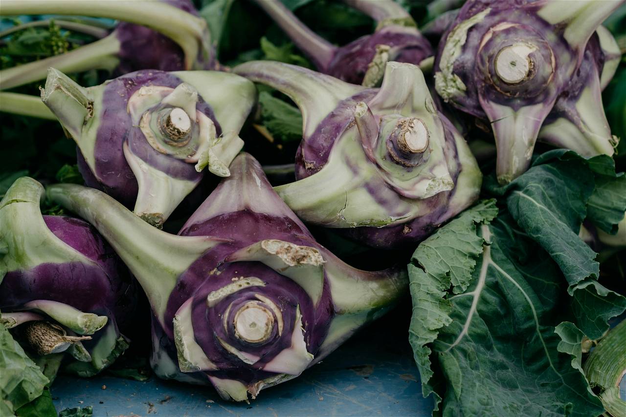 Cultivate Turnips For Your Home Garden Today! Follow Easy Steps. (Photo Source: Pexels.com)