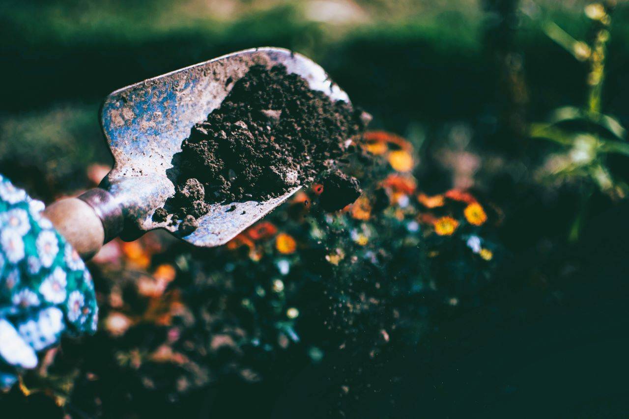 ICRISAT Introduces Cost-effective Biochar Production System for Farm-Level Sustainability (Photo Source: Pexels)