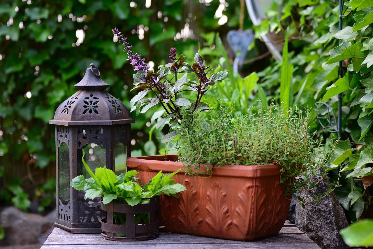 Container Gardening: Grow Your Own Lush Garden Anywhere, Anytime! (Photo source: Pixabay)