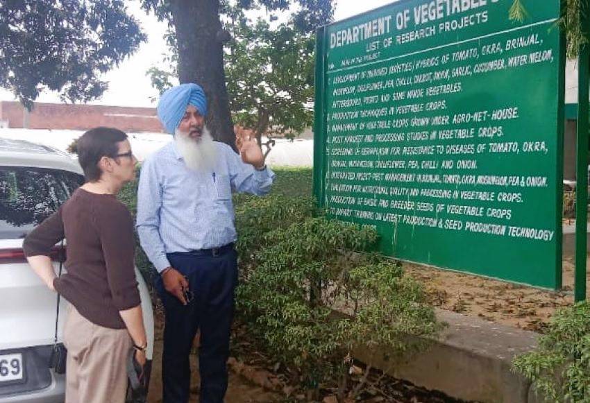 American Farmer and Rancher Visited PAU’s Department of Vegetable Science