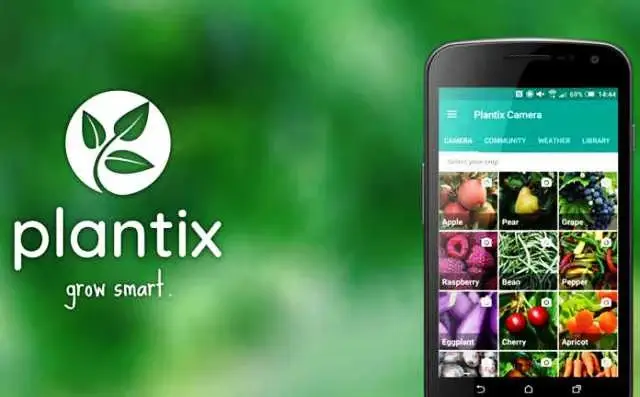 Use 'Plantix app' to spot plant disease