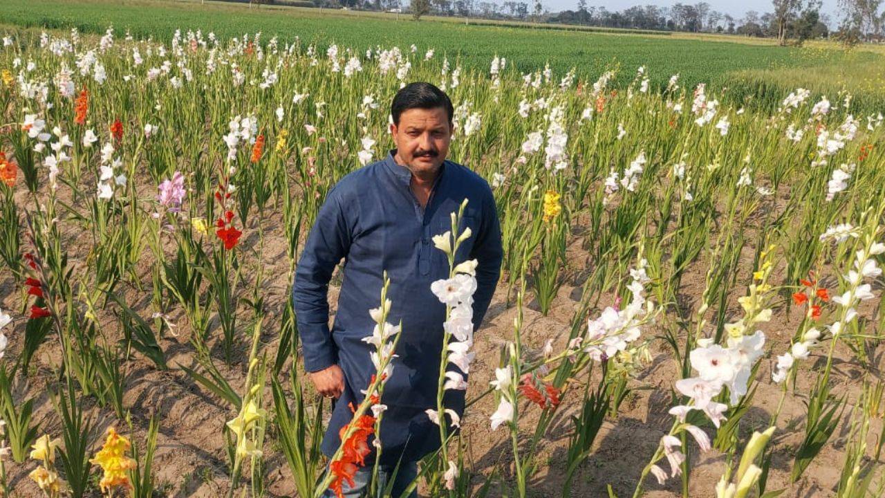 Achal Kumar Mishra in his gladiolus farm