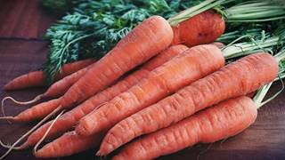 Carrot Cultivation Quiz