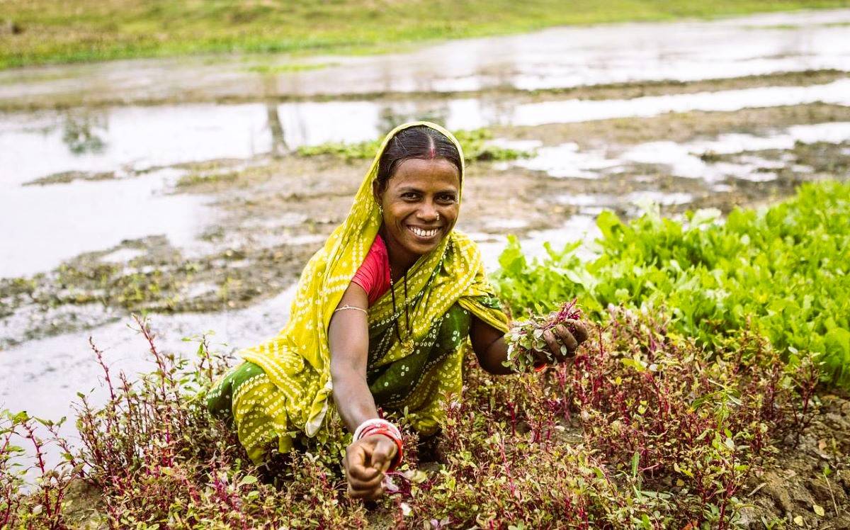 Women farmer in field (Photo Source: UNDP)