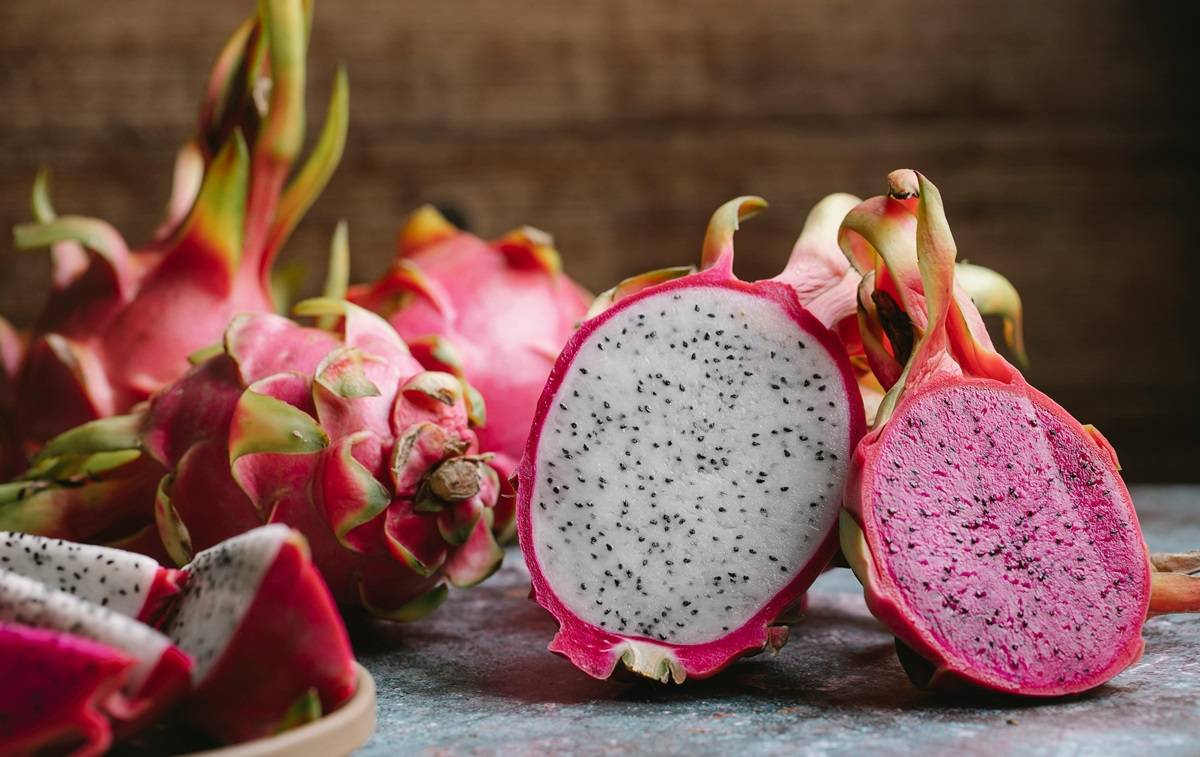 PAU Secures NABARD-sponsored Project to Popularize Dragon Fruit Cultivation (Photo Source: Pexels)