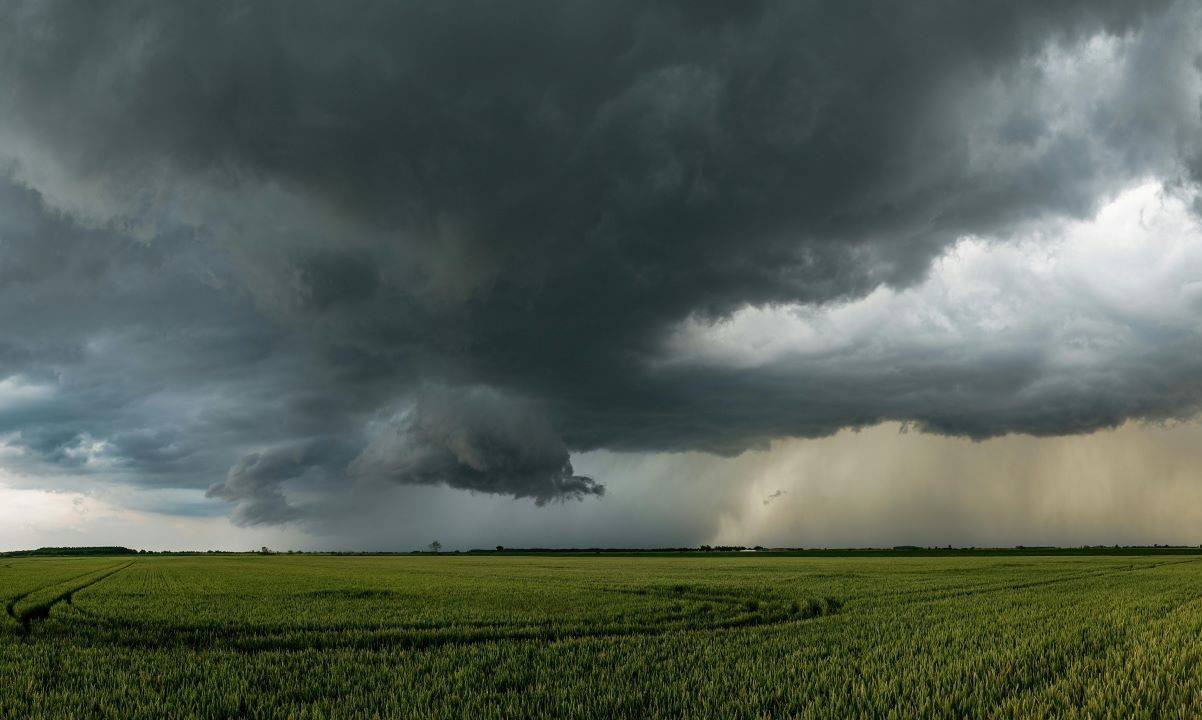 Monsoon Forecast 2024: Expectation of 'Normal' Rainfall Amid Climate Shifts (Photo Source: Pexels)