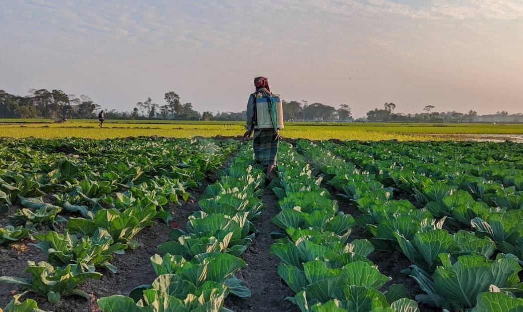 Zambia's Development Focus 2024-2029: Improving Infrastructure and Agricultural Value Chains (Photo Source: Pexels)