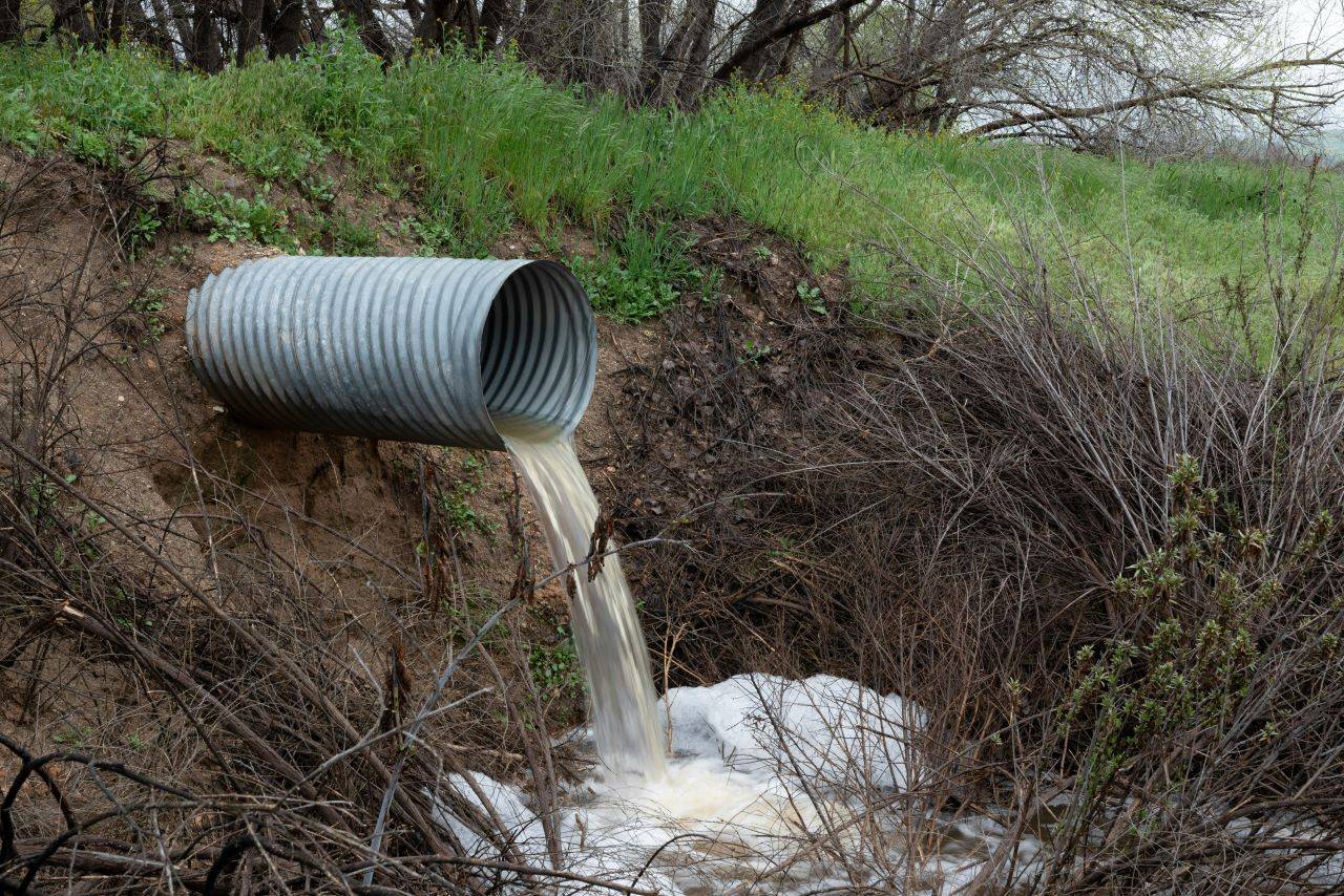 Biosolids in Sewage are Product of Treating Domestic Wastewater ( Photo Source: Pexels)