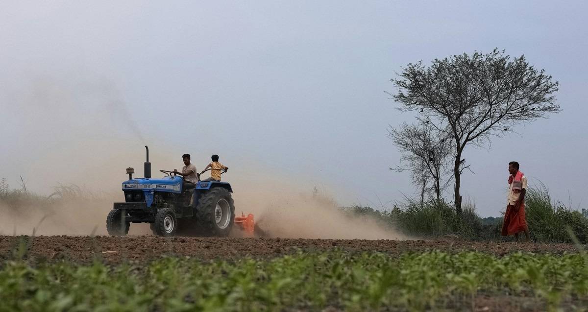 BJP Manifesto 2024: Promising Support for Empowering Farmers and Revitalizing Fisheries (Photo Source: Pexels)