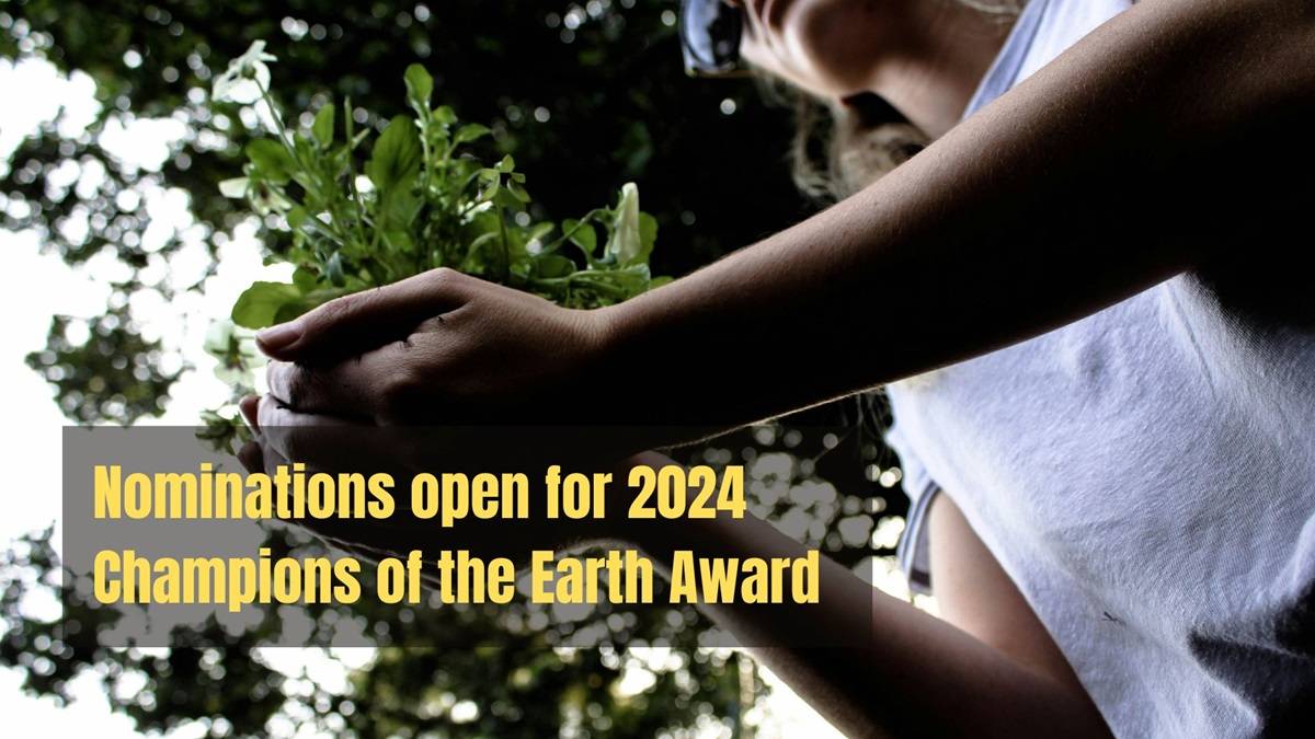 UNEP Calls for Nominations for Champions of the Earth Award 2024 (Photo Source: Pexels)