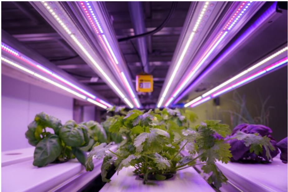 UK Agri-Tech Centre Launched to Spearhead Innovation and Sustainability in Agriculture (Pic Credit - Official Website of UKRI)