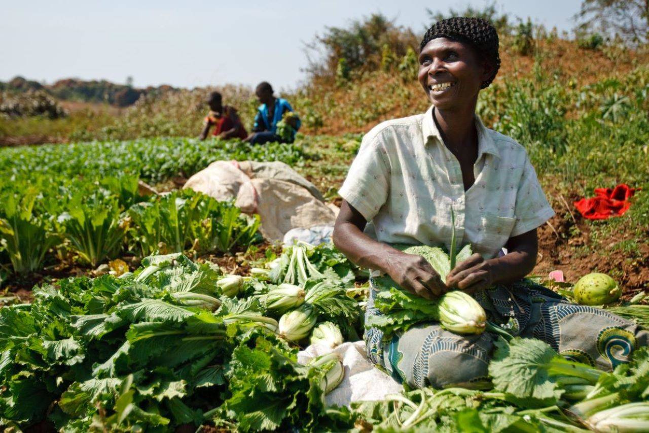 FAO Director Warns of Rising Hunger in Africa, Calls for Transformation of Agrifood Systems (Photo Source: FAO)