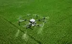 IRRI & PhilRice Launch Drones4Rice Project to Boost Rice Farming in the Philippines