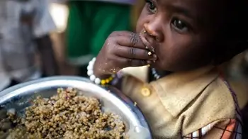 Around 282 Million People Experienced Acute Hunger in 2023, UN Report Says