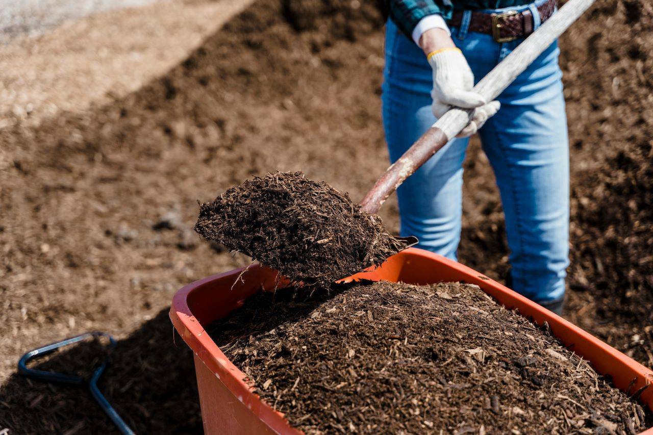 Composting is the natural process of decomposing organic materials into nutrient-rich soil.(Pic Credit- Pexels)