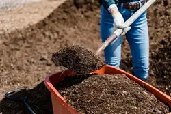 Digging In: Your Complete Guide to Making Nutrient-Rich Compost at Home