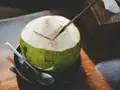 Coconut Water: Anatomy, Formation, and Harvesting Explained