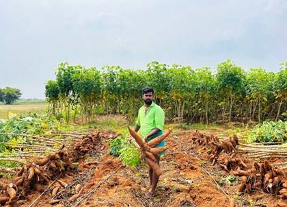 Engineer Turned Farmer: Winston Churchill’s Inspiring 50-Acre Journey with Drip Irrigation in Sivagangai, Tamil Nadu