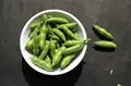 Broad Beans: Insider Tips for Cultivation
