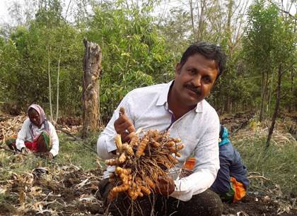 Meet Laxmikanth Hibare: Earning Lakhs from Turmeric on His 3.5 Acres of Natural Farmland