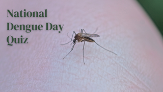 National Dengue Day 2024 