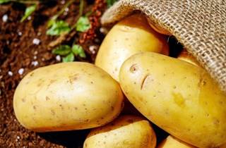 International Day of Potato 2024 Quiz