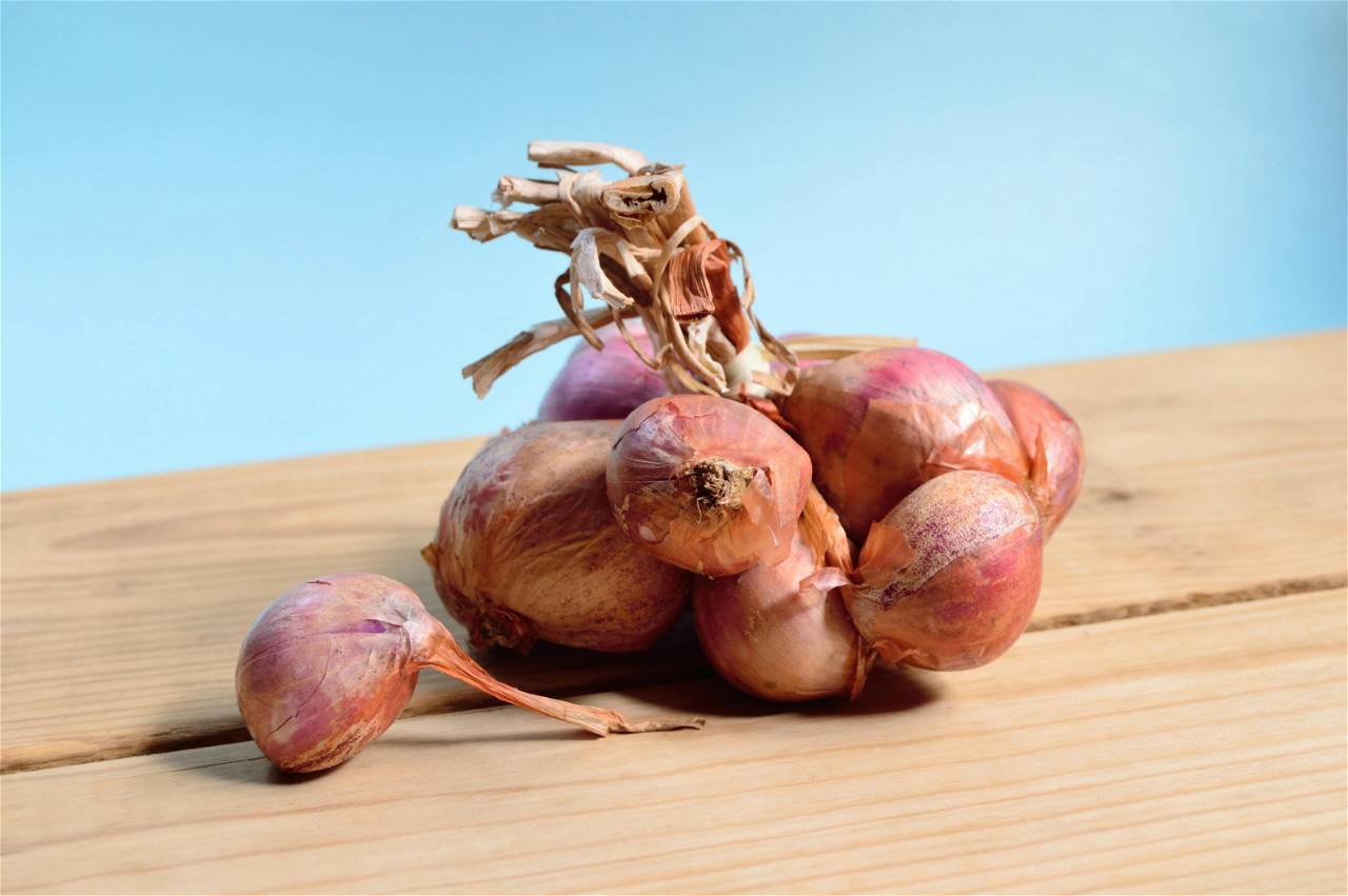 India Exports Over 45,000 Tonnes Onion After Lifting Ban (Photo Source: Pexels.com)