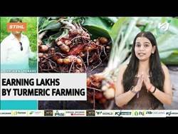 Farmer Earning Lakhs by Turmeric Farming