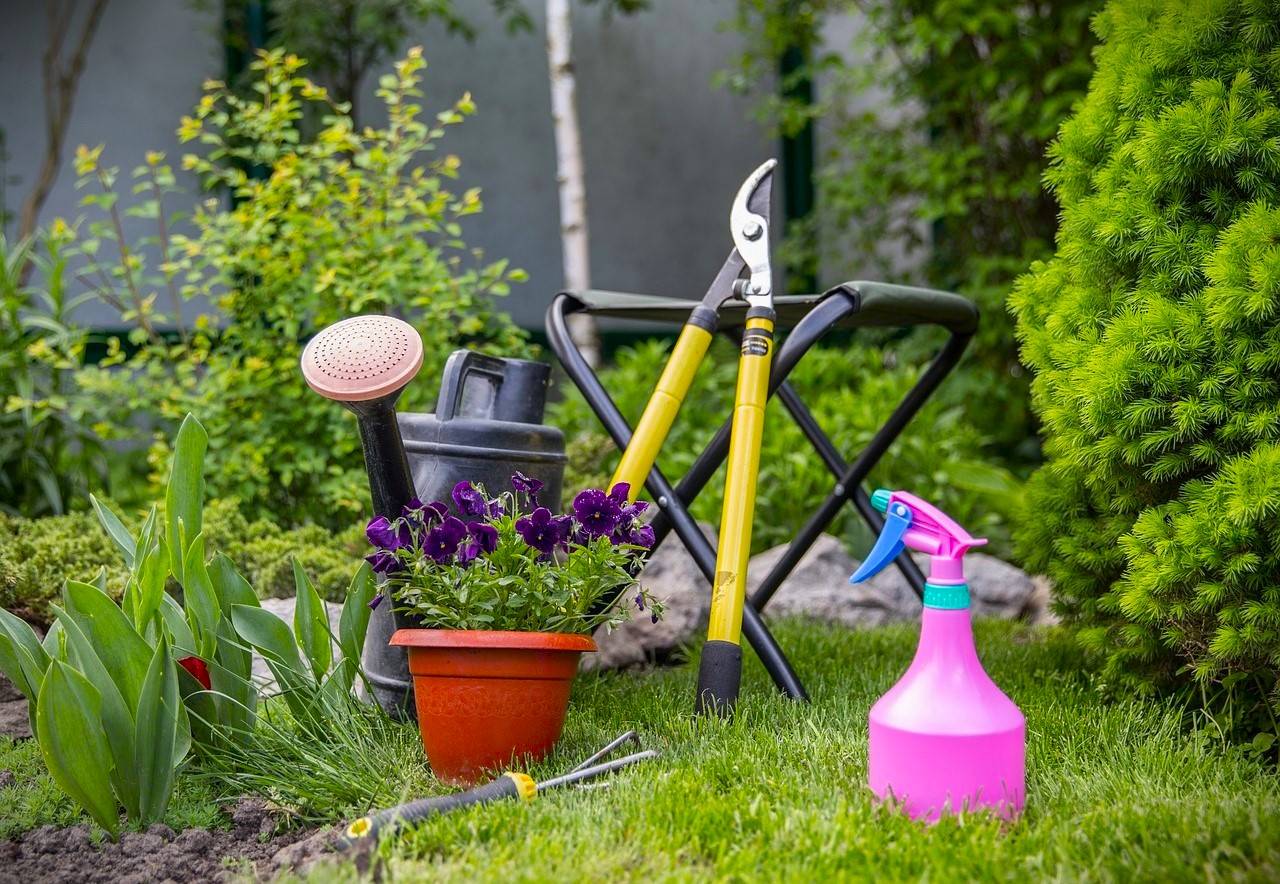 7 Common Mistakes That Harm Your Garden's Soil Quality (Photo Source: Pixabay)