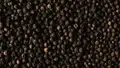 Varieties of Black Pepper: Characteristics and Special Attributes
