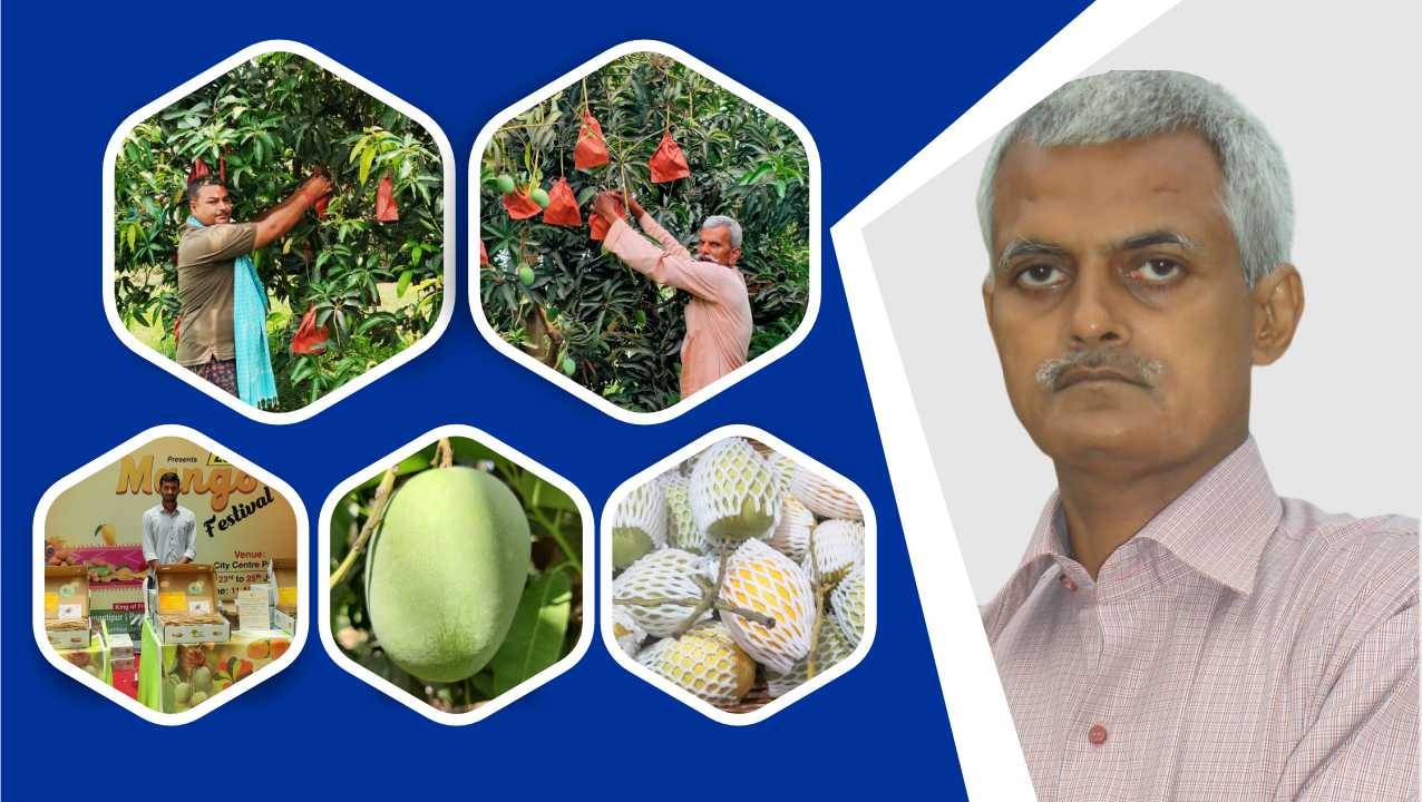 Alok Kumar's Innovative Approach is Giving Bihar's Mangoes New Ways of Commercialization via Apna Khet Foundation