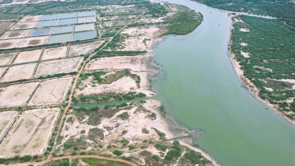 Mangrove Ecosystem Restoration at Pulicat or Pazhaverkadu, a coastal town near Chennai, Tamil Nadu