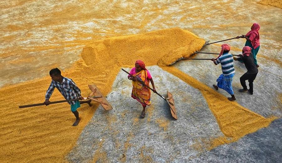 MSPs Ensured 50% Minimum Return for Kharif and Rabi Crops Over Cost of Production: RBI (Photo Source: Pexels)