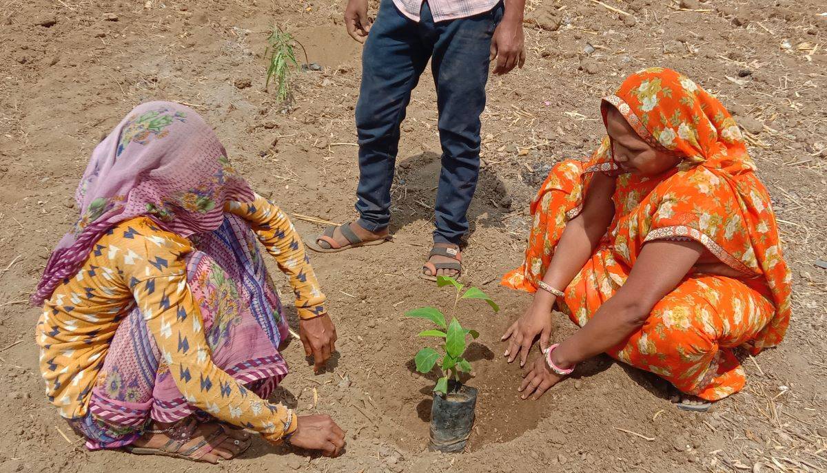 Arya.ag Collaborates with Khambhaliya FPC and Forest Dept. to Combat Rising Temperatures through Tree Plantation Drive