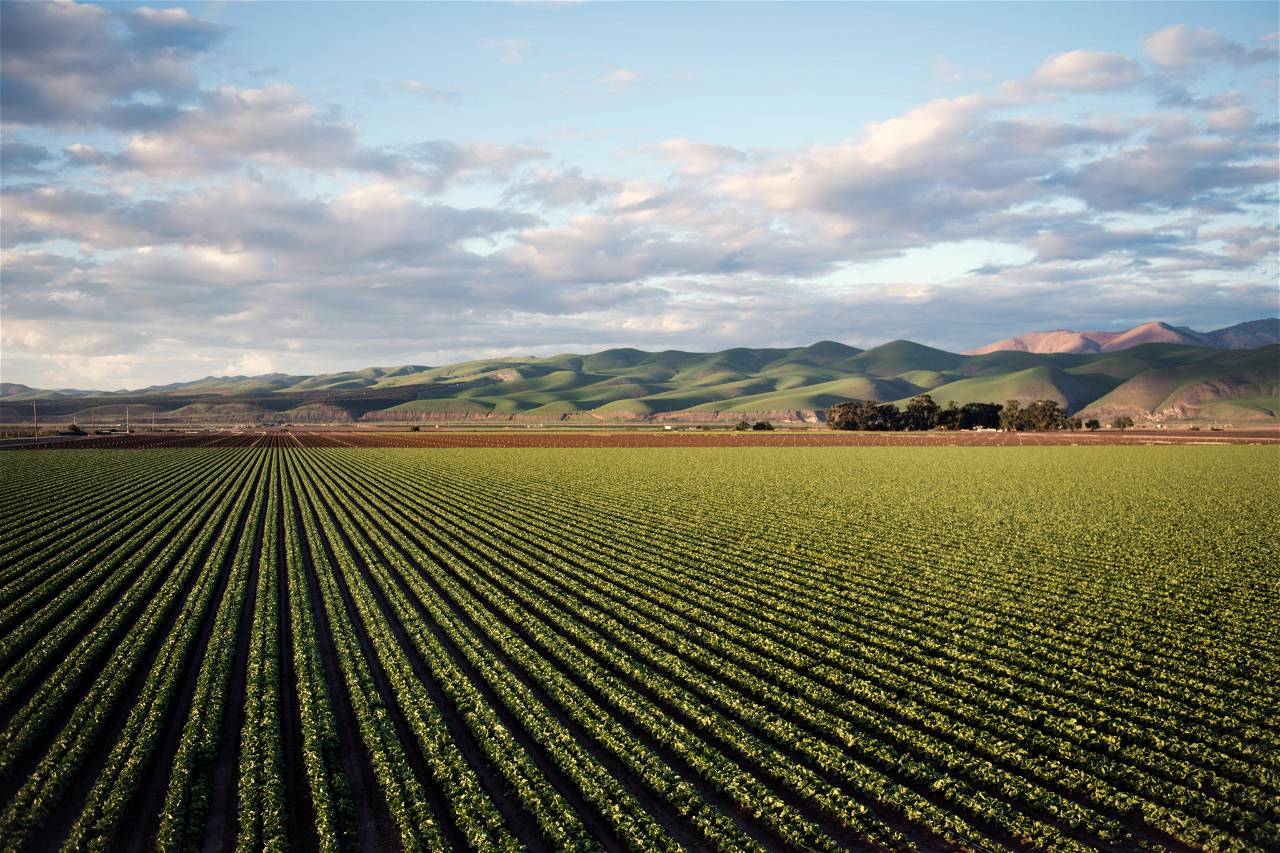 State-Level Workshop on Energy Use Efficiency in Agriculture & Allied Sectors Enlightens Assam Farmers (Photo Source: Pexels.com)