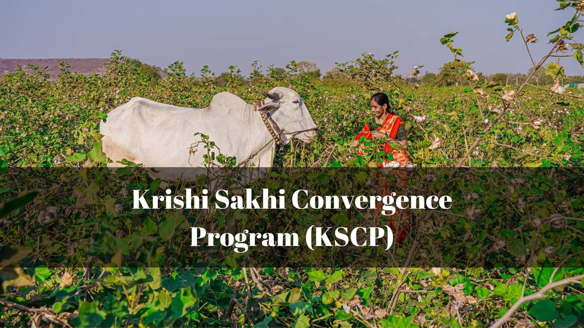 Krishi Sakhi Convergence Program: Objective, Training Modules, Employment Opportunities, Certification and More (Photo Source: Canva)