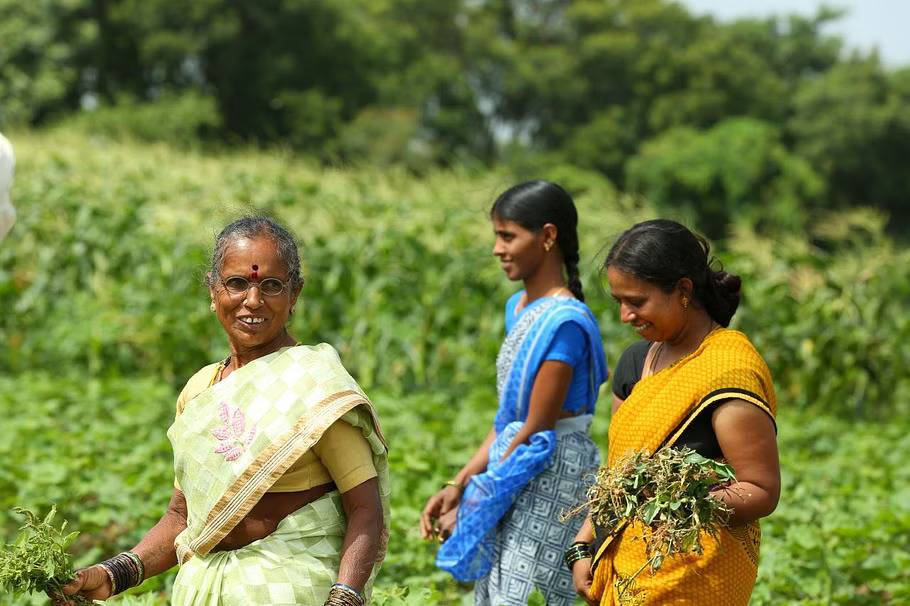 Indian Women Farmers (Photo Source: UNDP)