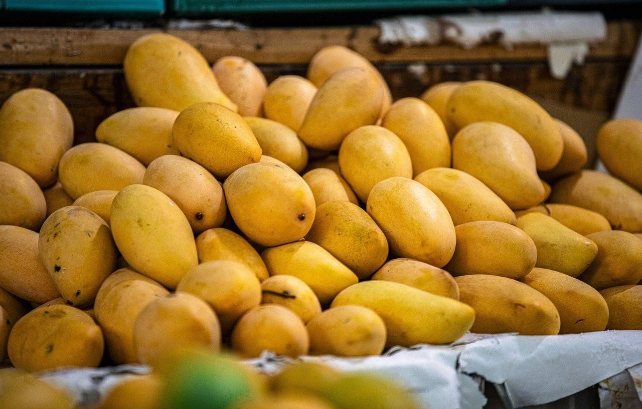 Mango: Beware of These Side Effects of the King of Fruit (Photo Source: Pixabay)