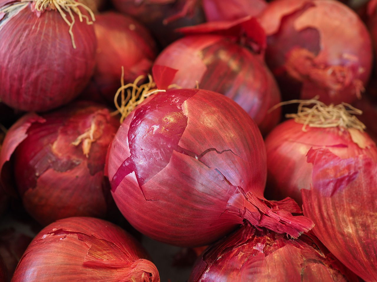 Government Makes an Effort in Controlling Onion Prices (Photo source: Pixabay)