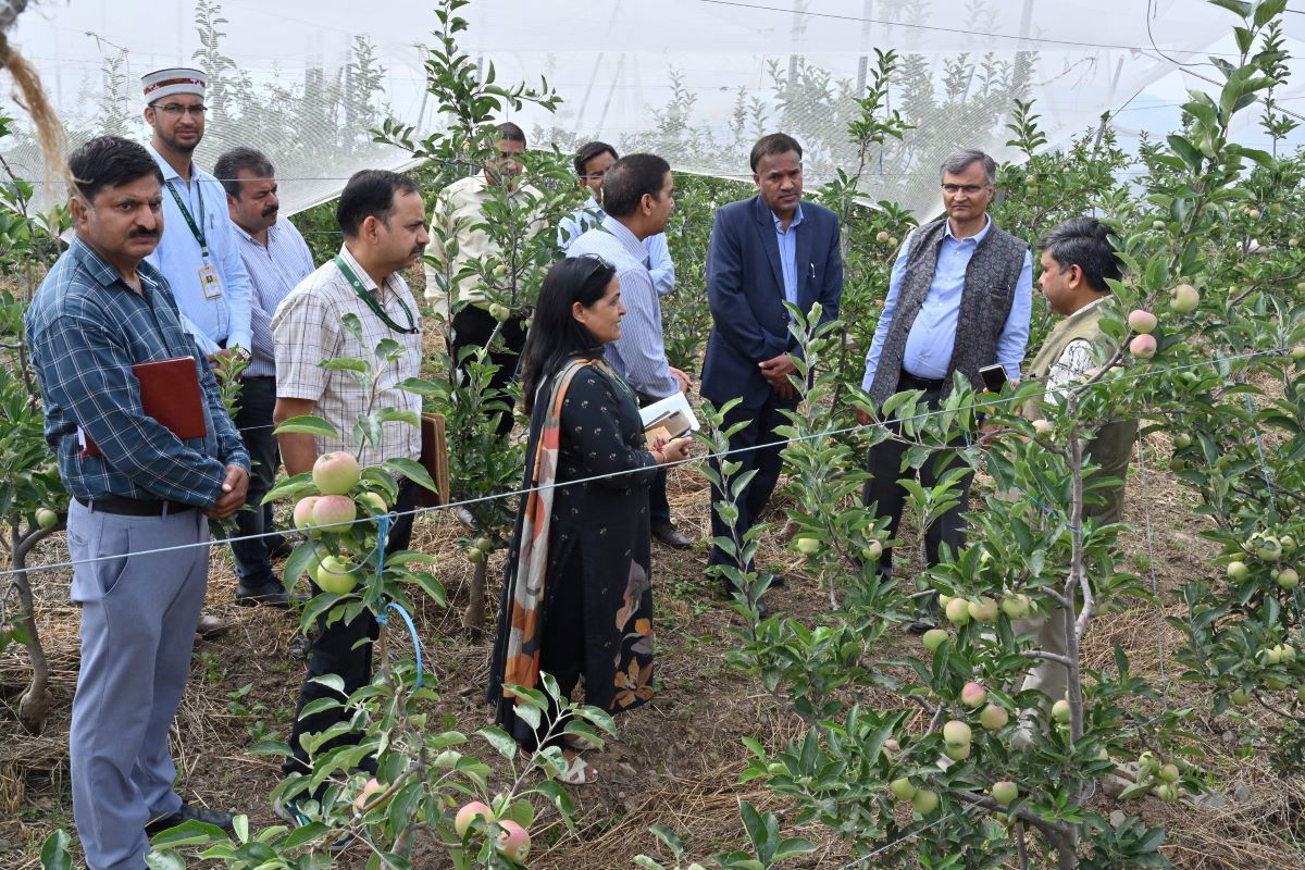 Field visit to the natural farming apple demonstration block