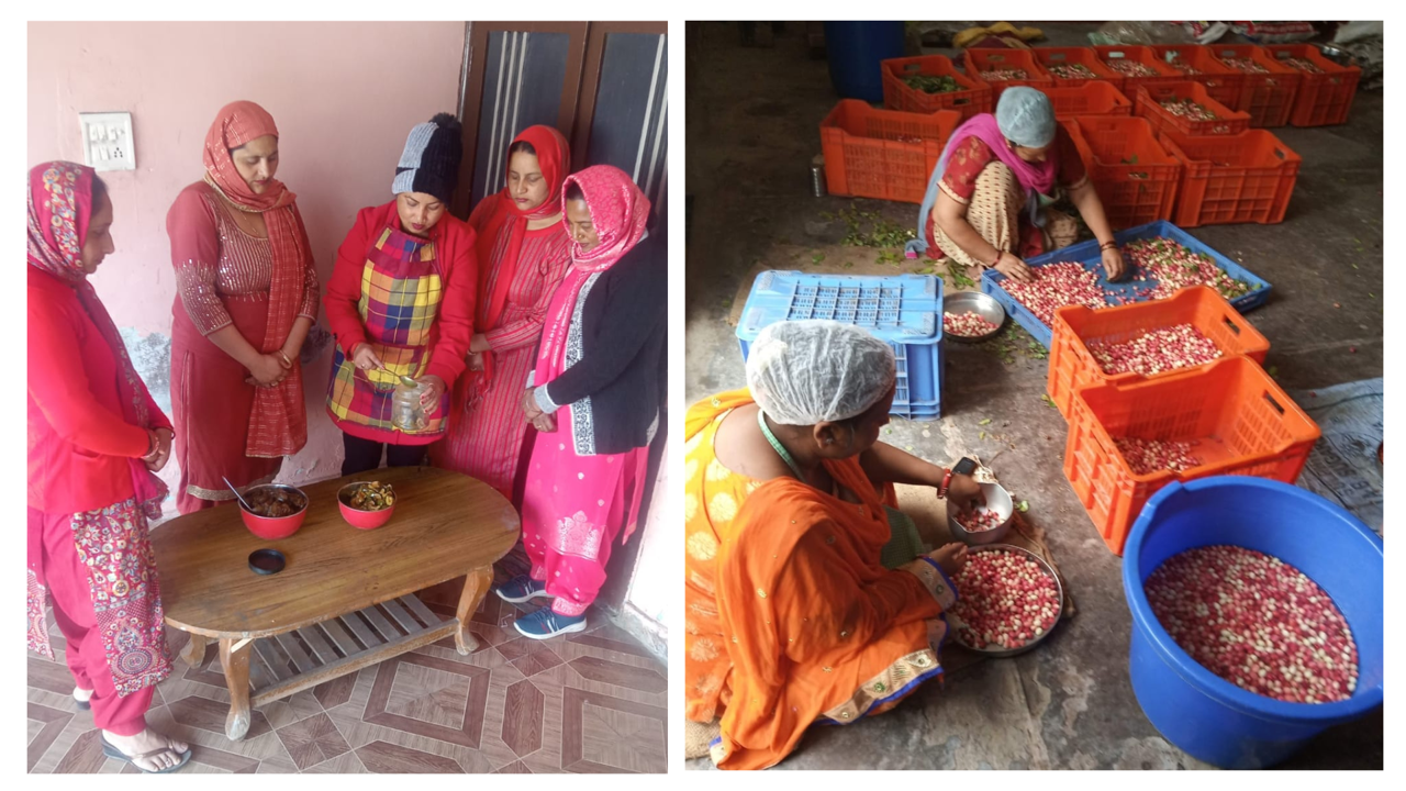 Rekha and her group involved in fruit processing