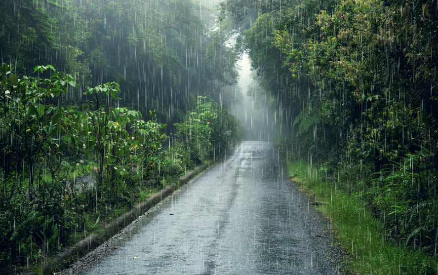 Heavy Rainfall in Delhi NCR                                                                                                                                            Source: Freepik