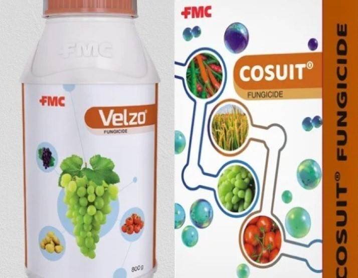 FMC India Launches Innovative Velzo and Cosuit Fungicides to Protect Fruits & Vegetable Crops from Fungi Diseases (Image Courtesy: FMC Newswire)