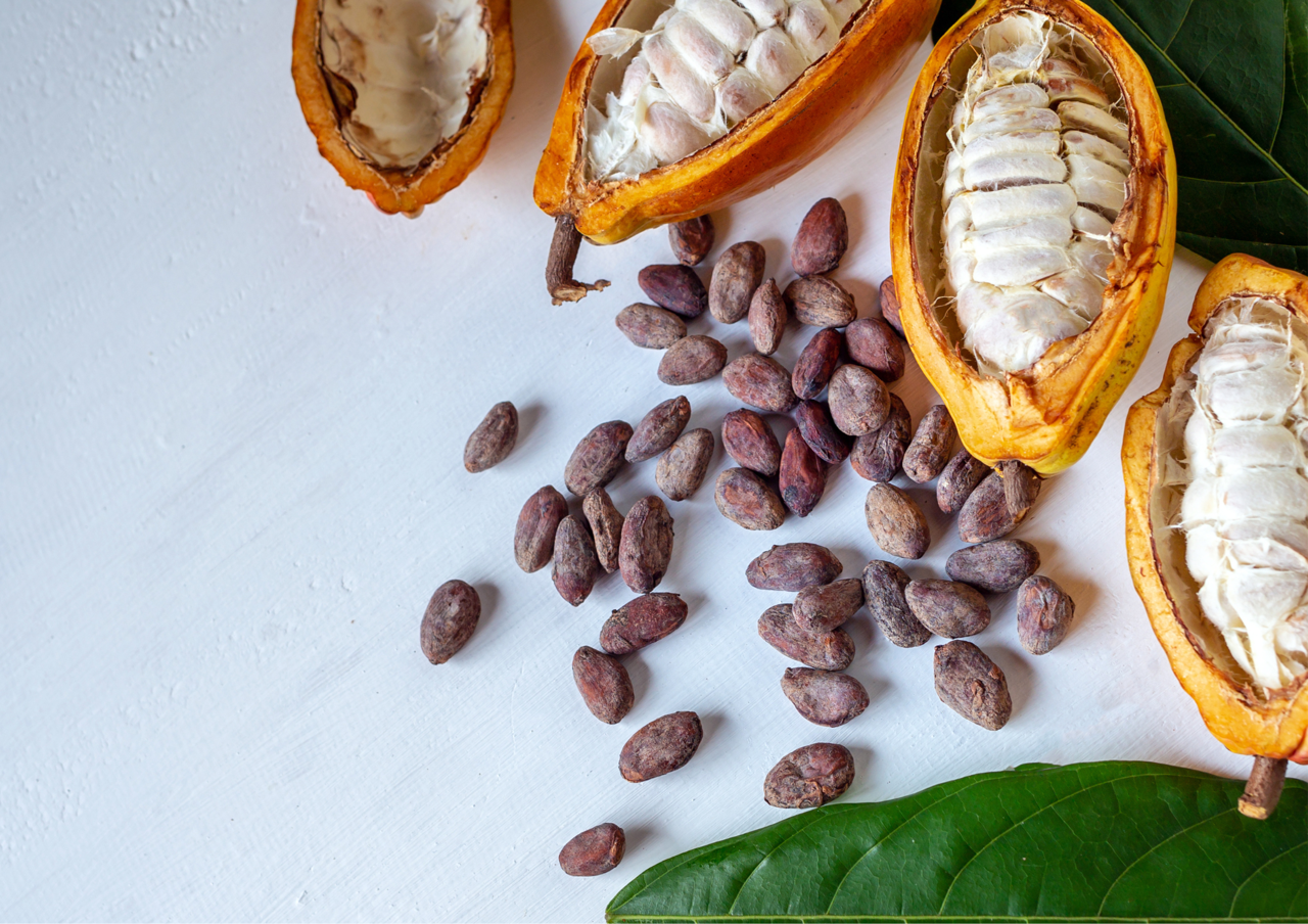 Cocoa Seeds (Image source: Pexels)