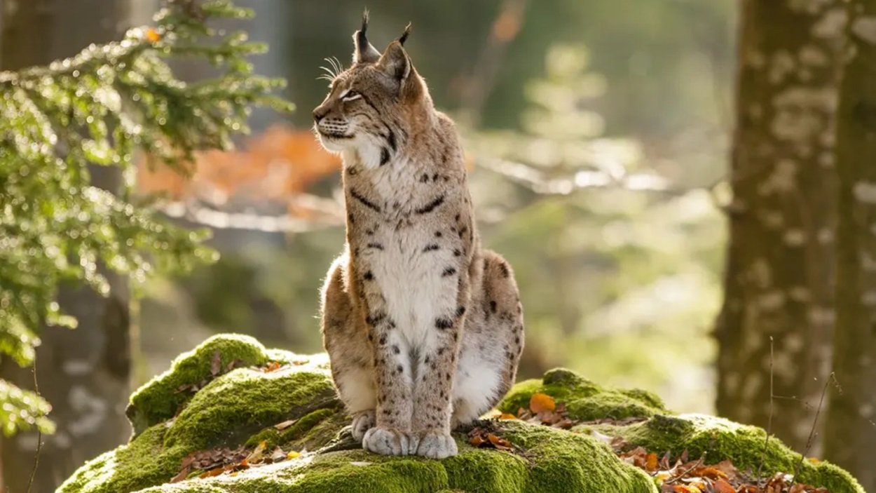 UNESCO Designates 11 New Biosphere Reserves Across the Globe (Representational Photo Source: UNESCO)