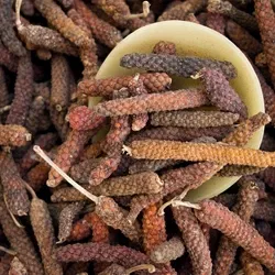 Long Pepper Cultivation Guide: Boosting Respiratory Health